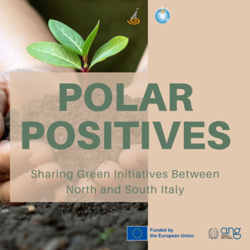 Polar Positives
