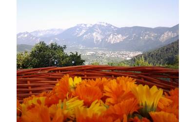 Immagine: 194 - Francesca Eccher