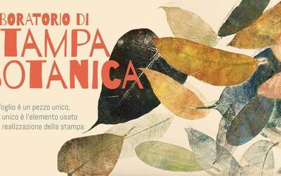 Immagine: 227371159_383324046479957_4284392180342863707_n