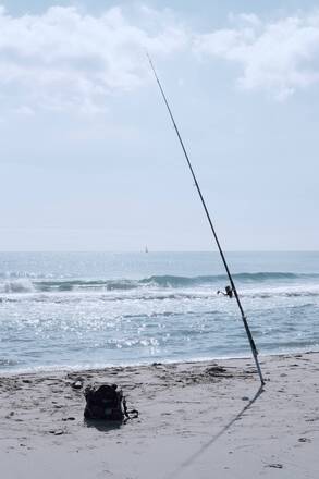 Ambiente Pesca