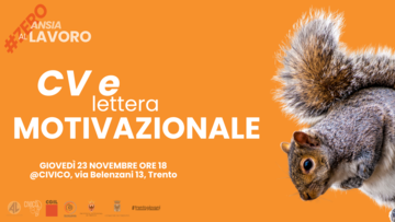 Immagine: 5