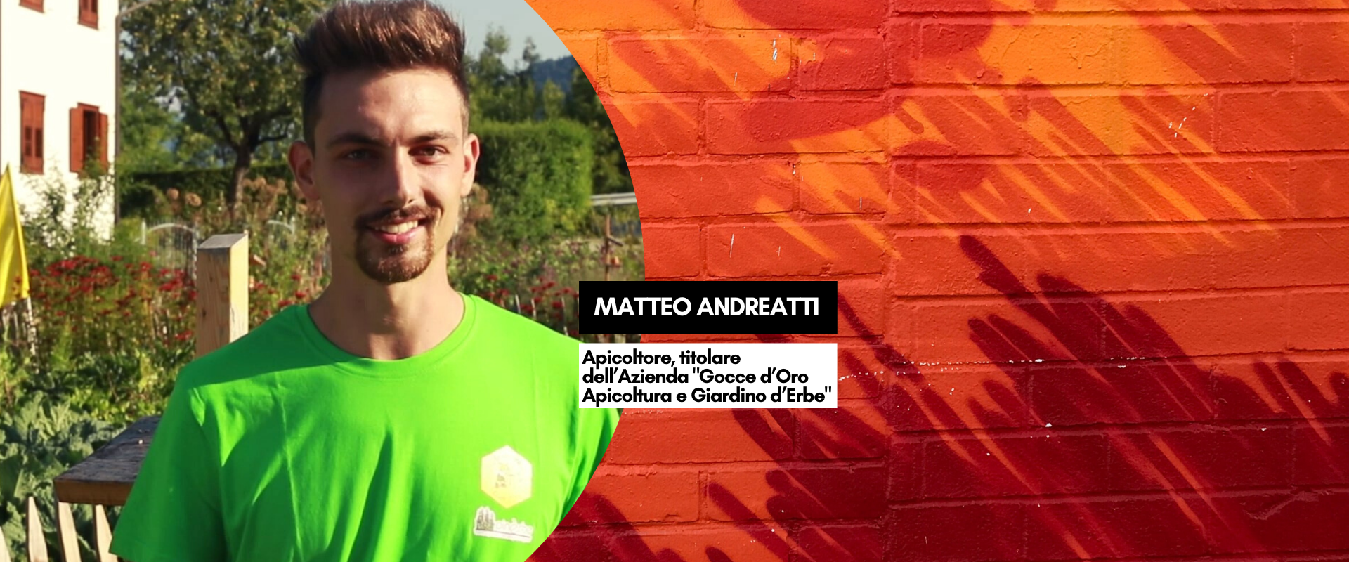 Immagine: 6 (1)