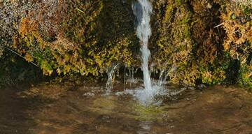 Immagine: acqua