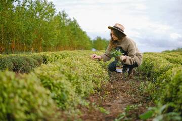 Immagine: agricoltura