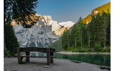 Immagine: alessandro-ranica-LgEbJd92WIE-unsplash