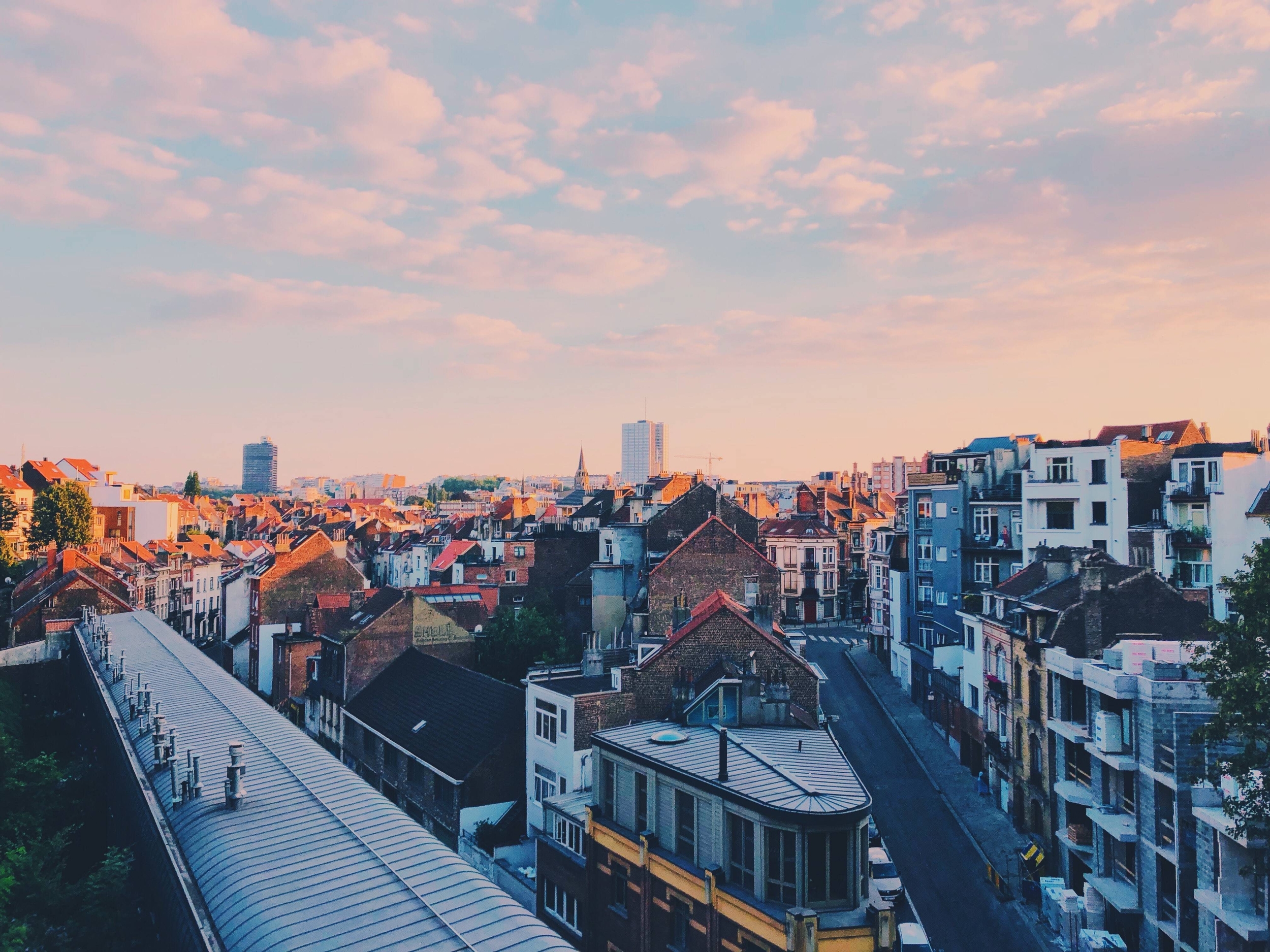 Immagine: alex-vasey-zMbxBDg4qBc-unsplash