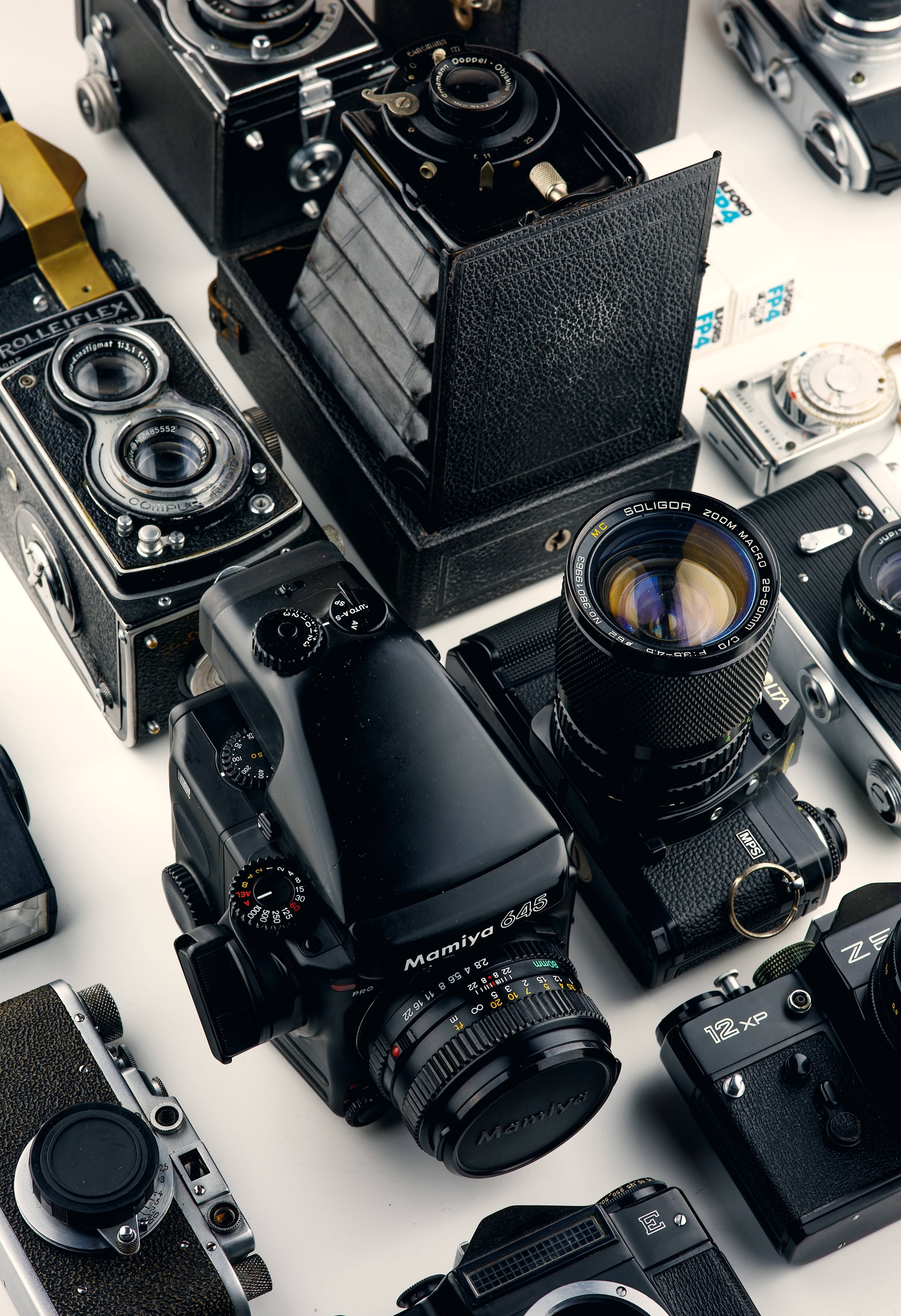 Immagine: alexander-andrews--unsplash