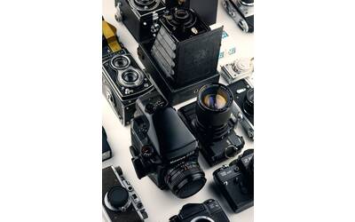 Immagine: alexander-andrews--unsplash