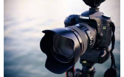 Immagine: alexander-wang-KjyrxSHwqTg-unsplash