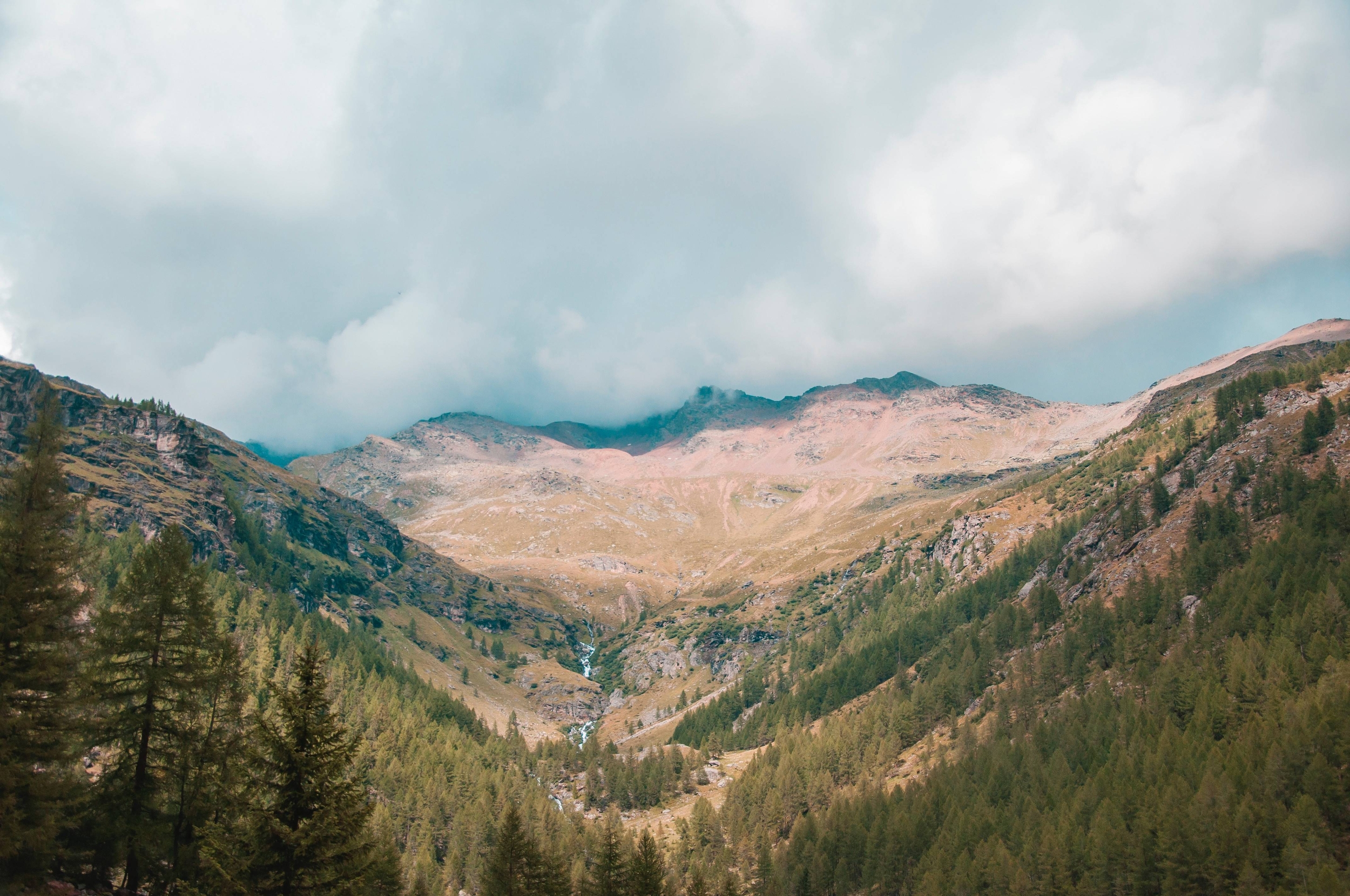 Immagine: Alpi
