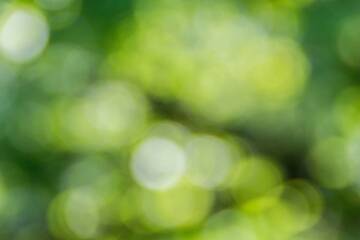 Immagine: Ambiente