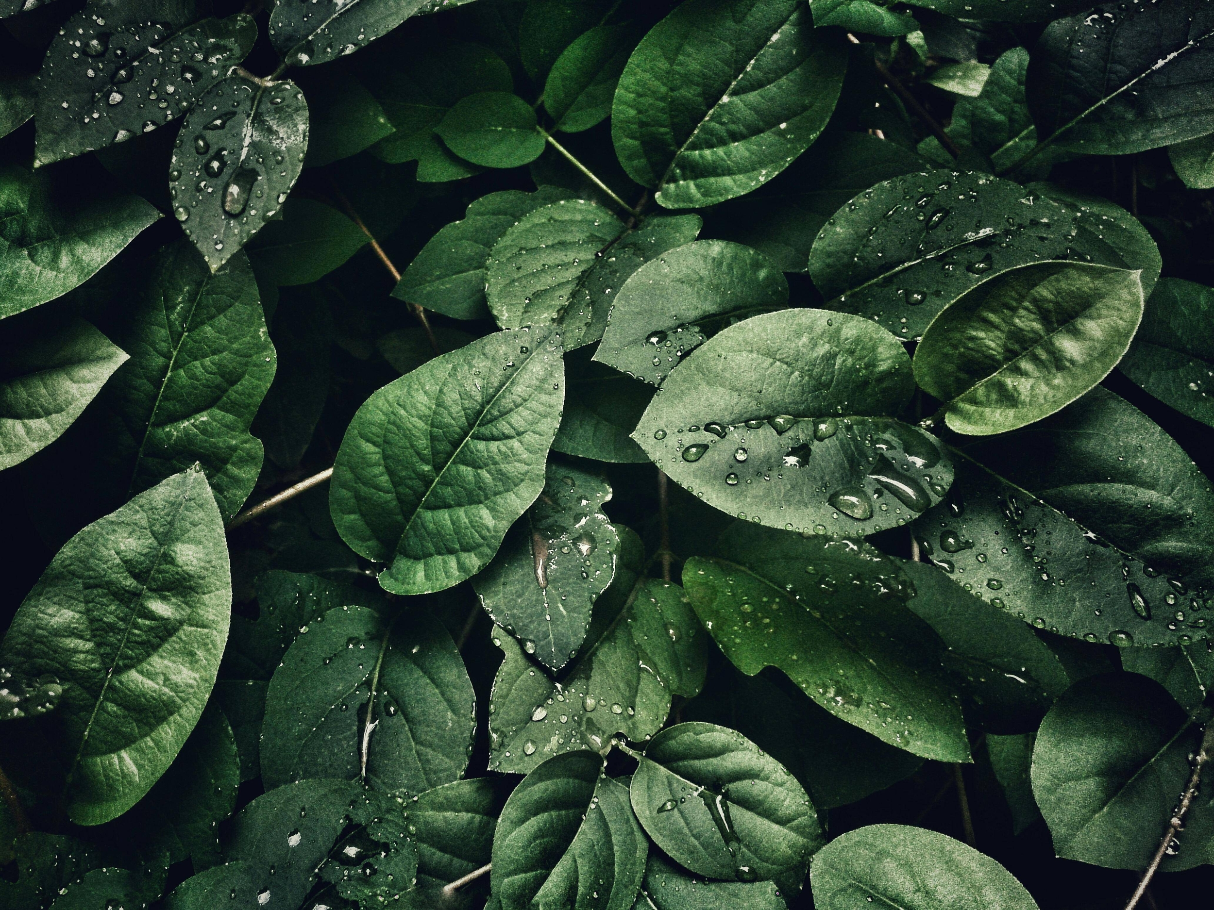Immagine: Ambiente