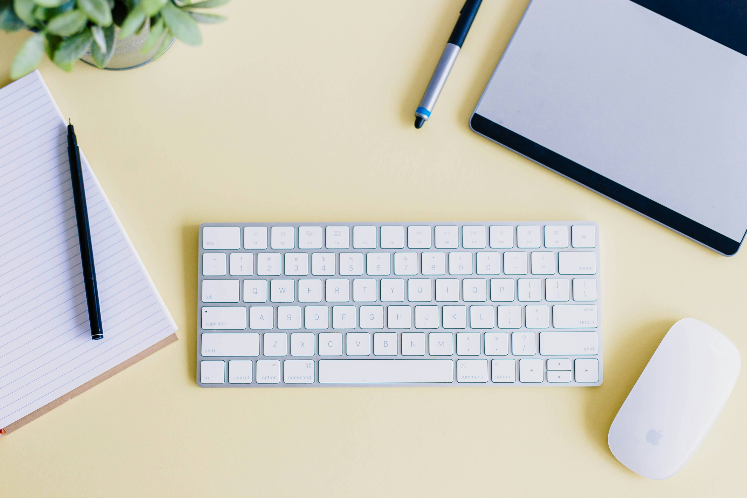 Immagine: amy-hirschi-szrJ3wjzOMg-unsplash