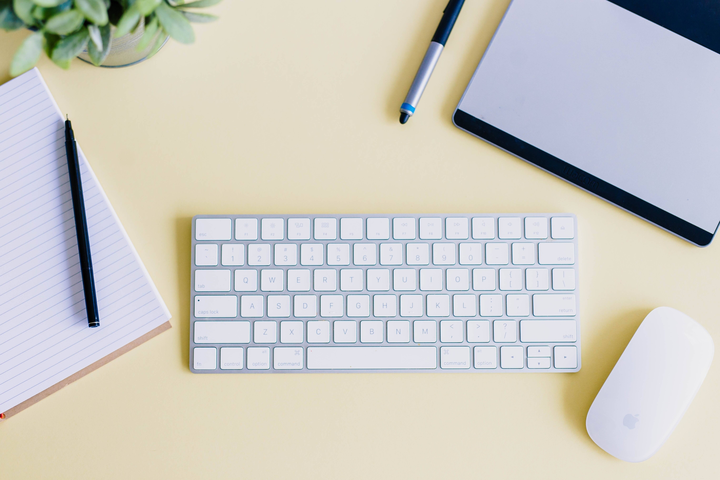 Immagine: amy-hirschi-unsplash