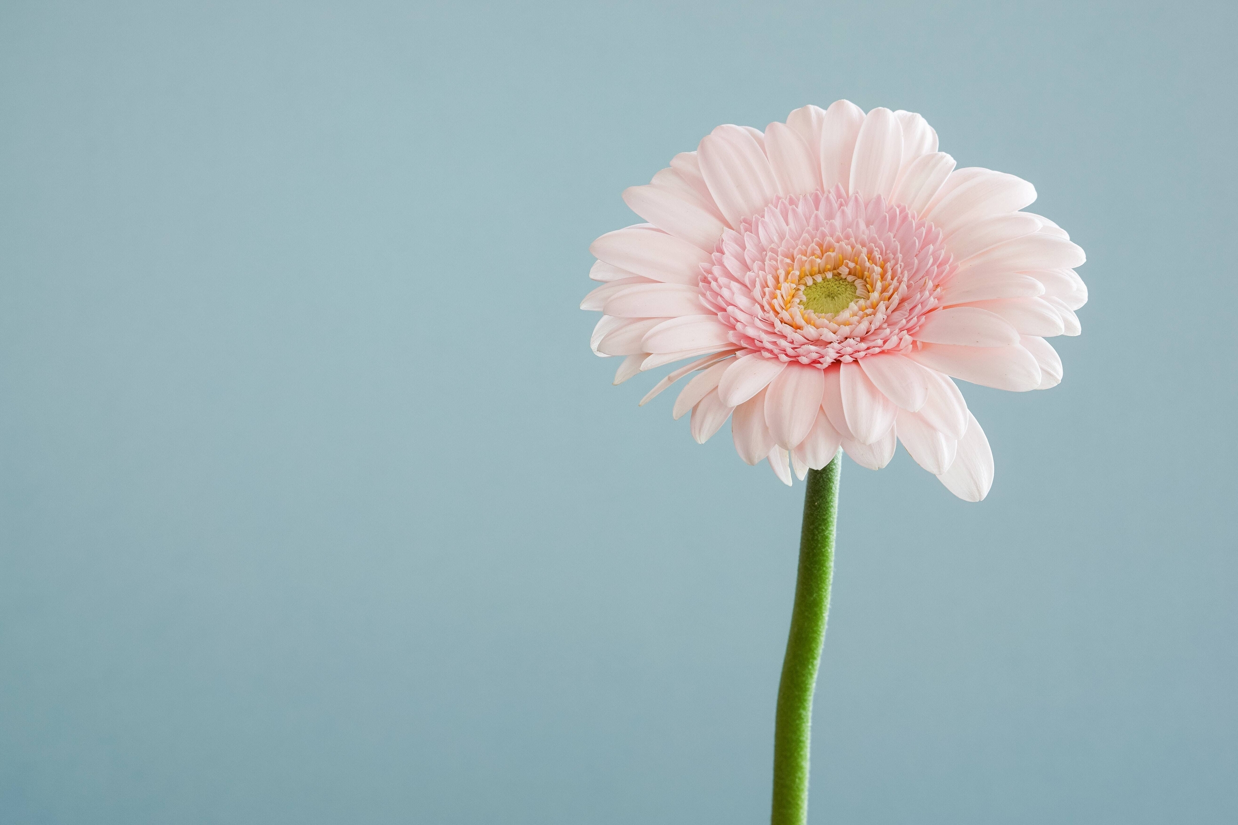 Immagine: andrew-small-EfhCUc_fjrU-unsplash