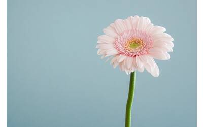 Immagine: andrew-small-EfhCUc_fjrU-unsplash