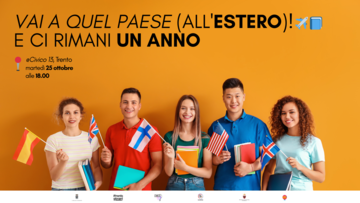Immagine: anno all'estero