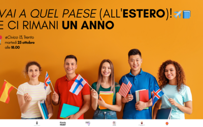 Immagine: anno all'estero