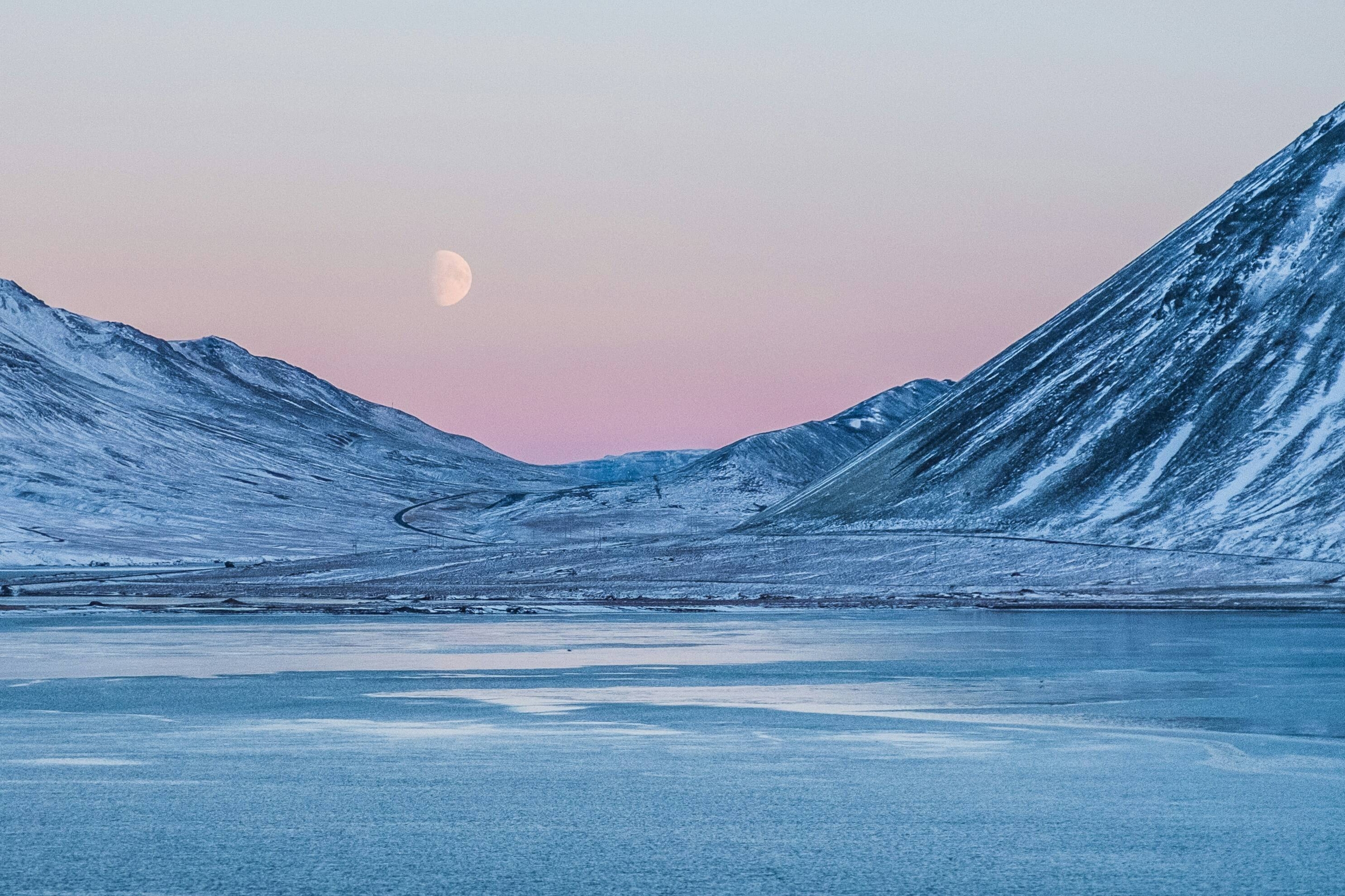 Immagine: artic
