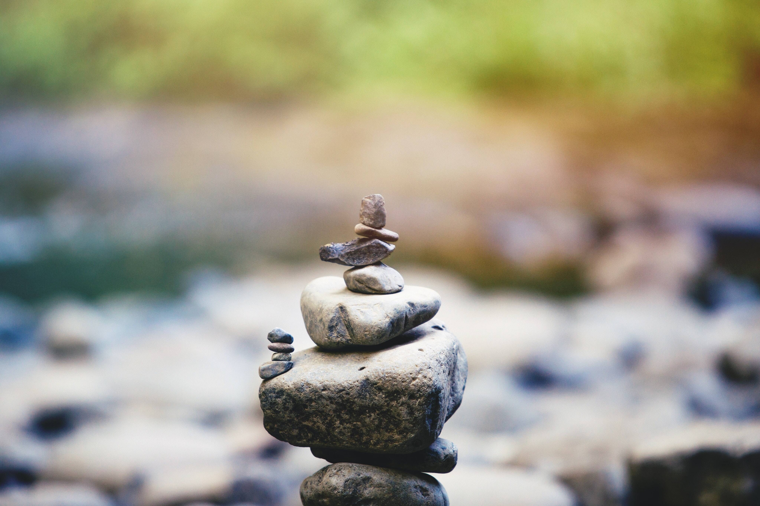 Immagine: austin-neill-ZahNAl_Ic3o-unsplash