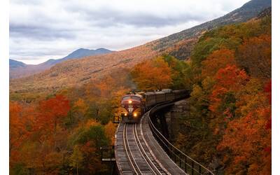 Immagine: balazs-busznyak-El5zuQAtfeo-unsplash