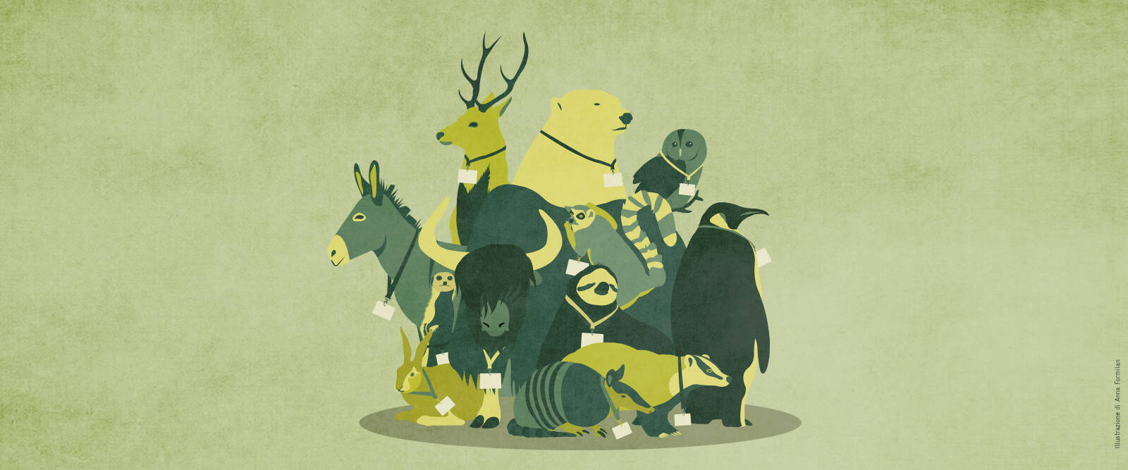 Immagine: bando-volontari-