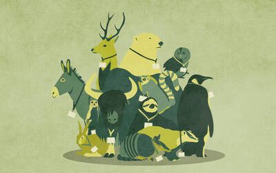 Immagine: bando-volontari-