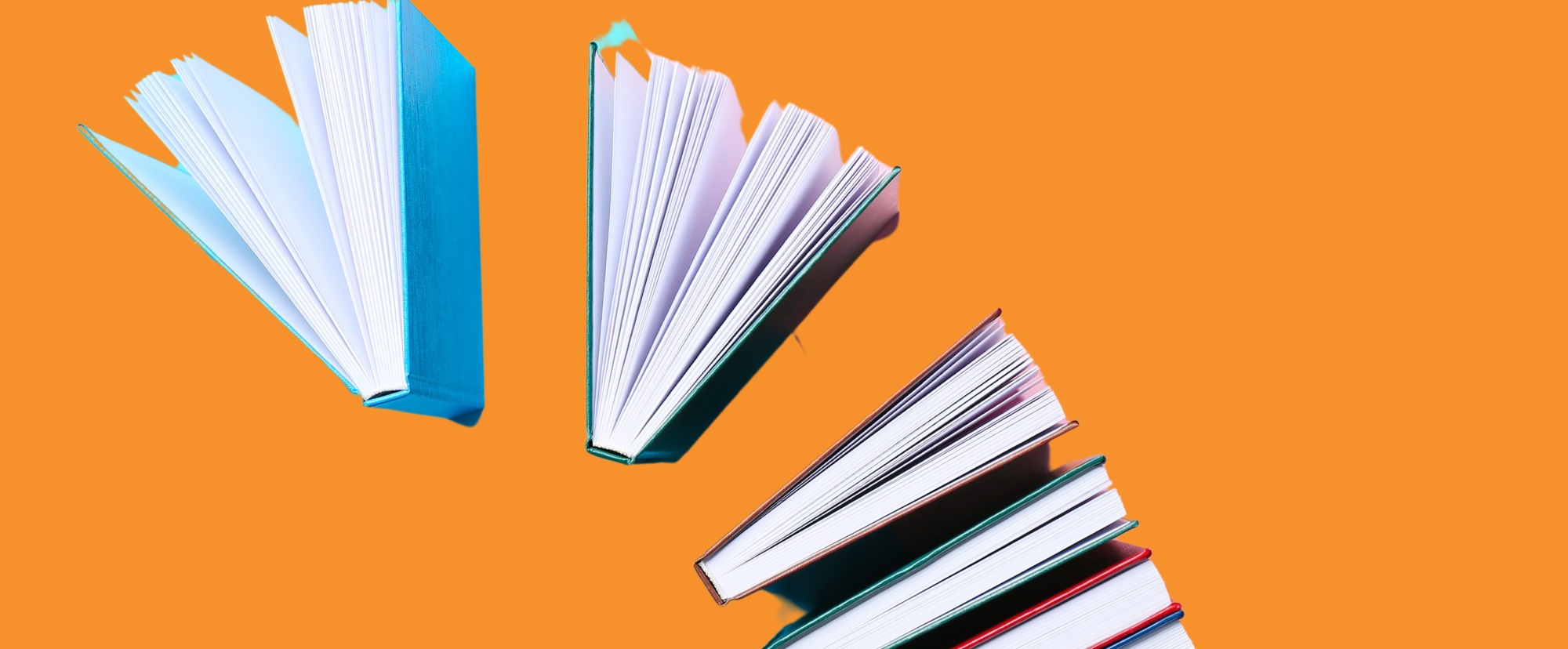 Immagine: borse di studio