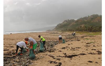 Immagine: brian-yurasits-PzQNdXw2a6g-unsplash