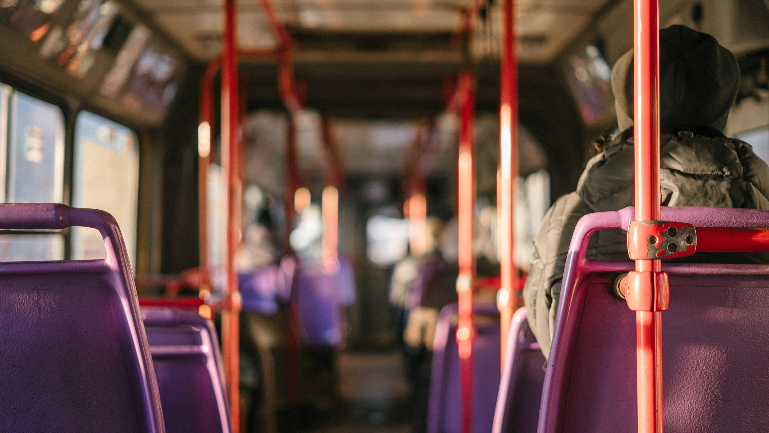 Immagine: bus
