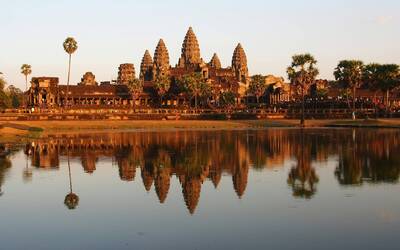 Immagine: cambogis