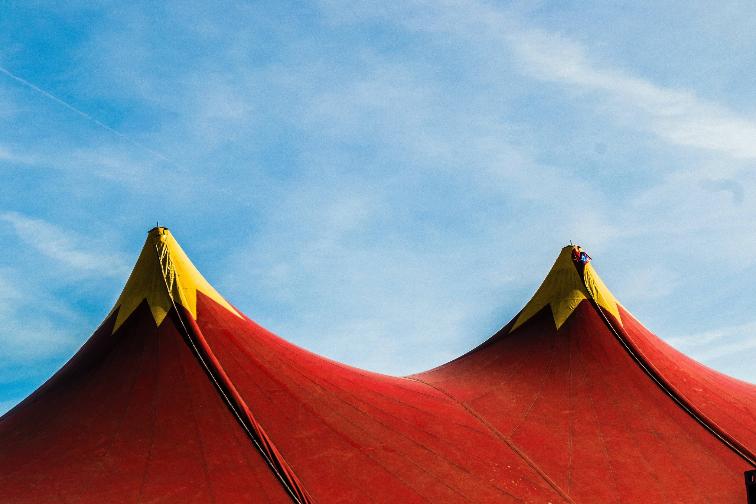 Immagine: circo