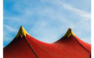 Immagine: circo