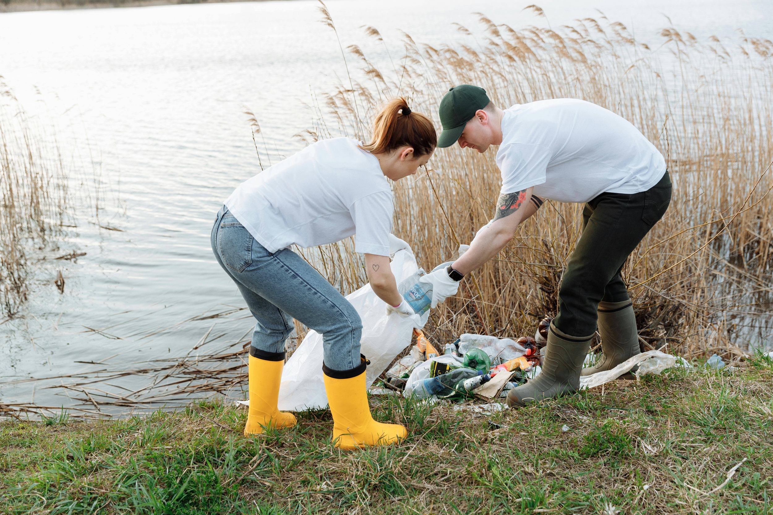 Immagine: Clean Up