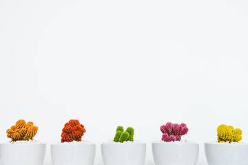 Voci del verbo scegliere