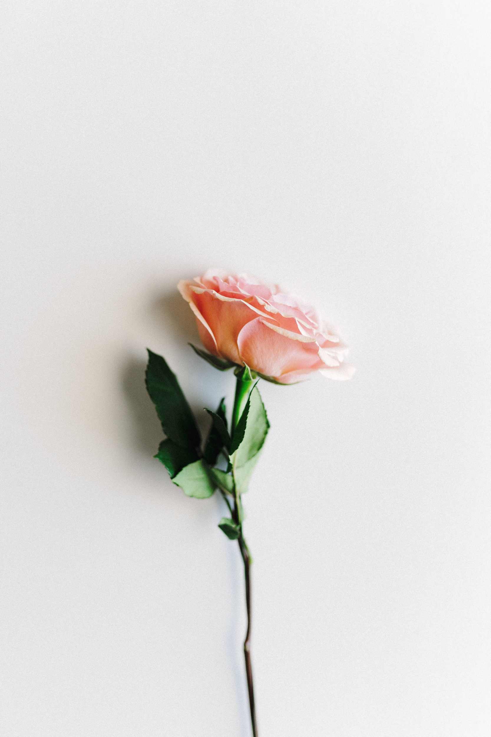 Immagine: corey-oconnell-RW7nLtLRHro-unsplash