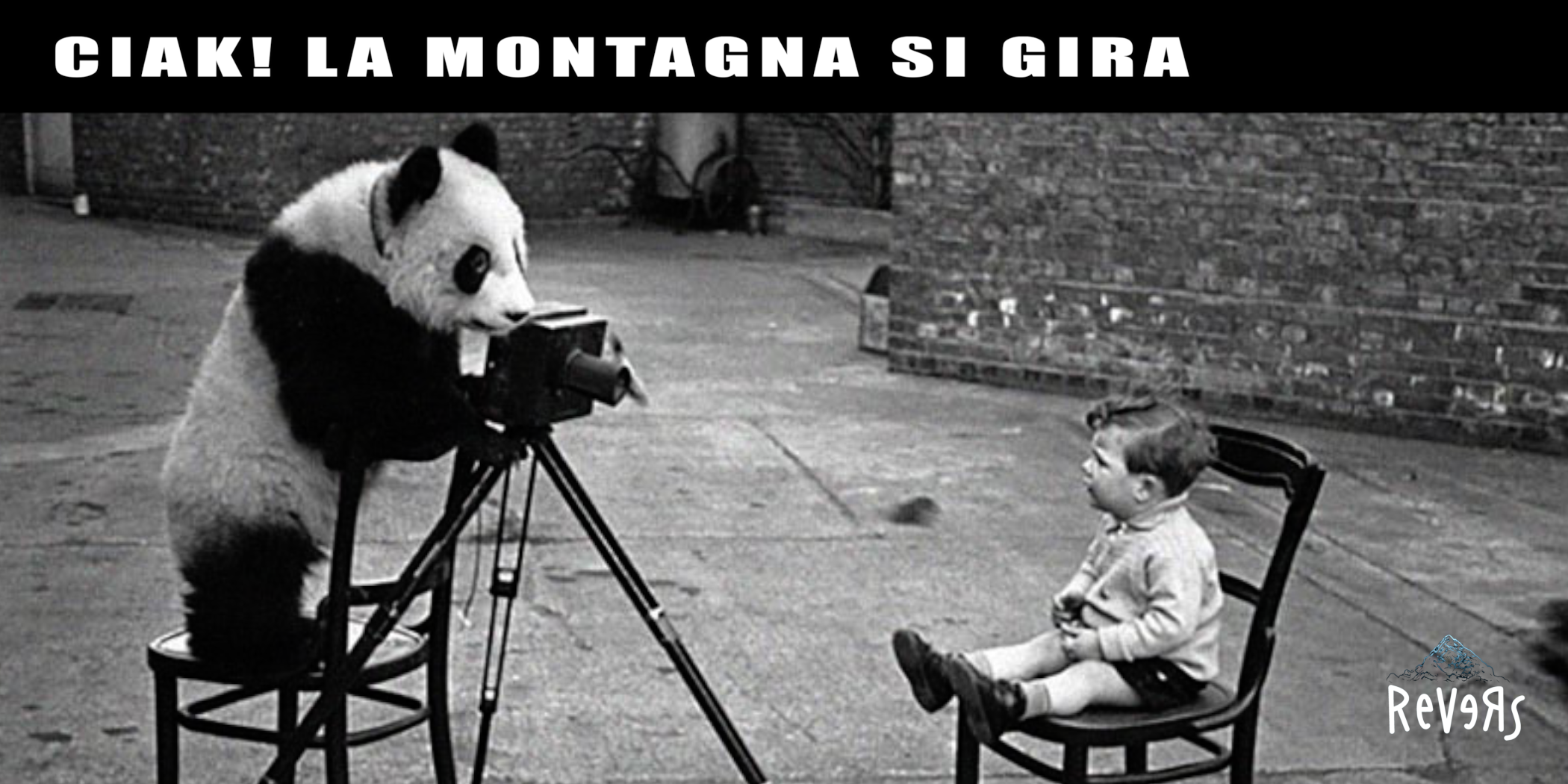 Immagine: CORSI cartolina fronte def (1)