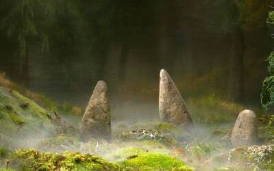 Immagine: cover_photo