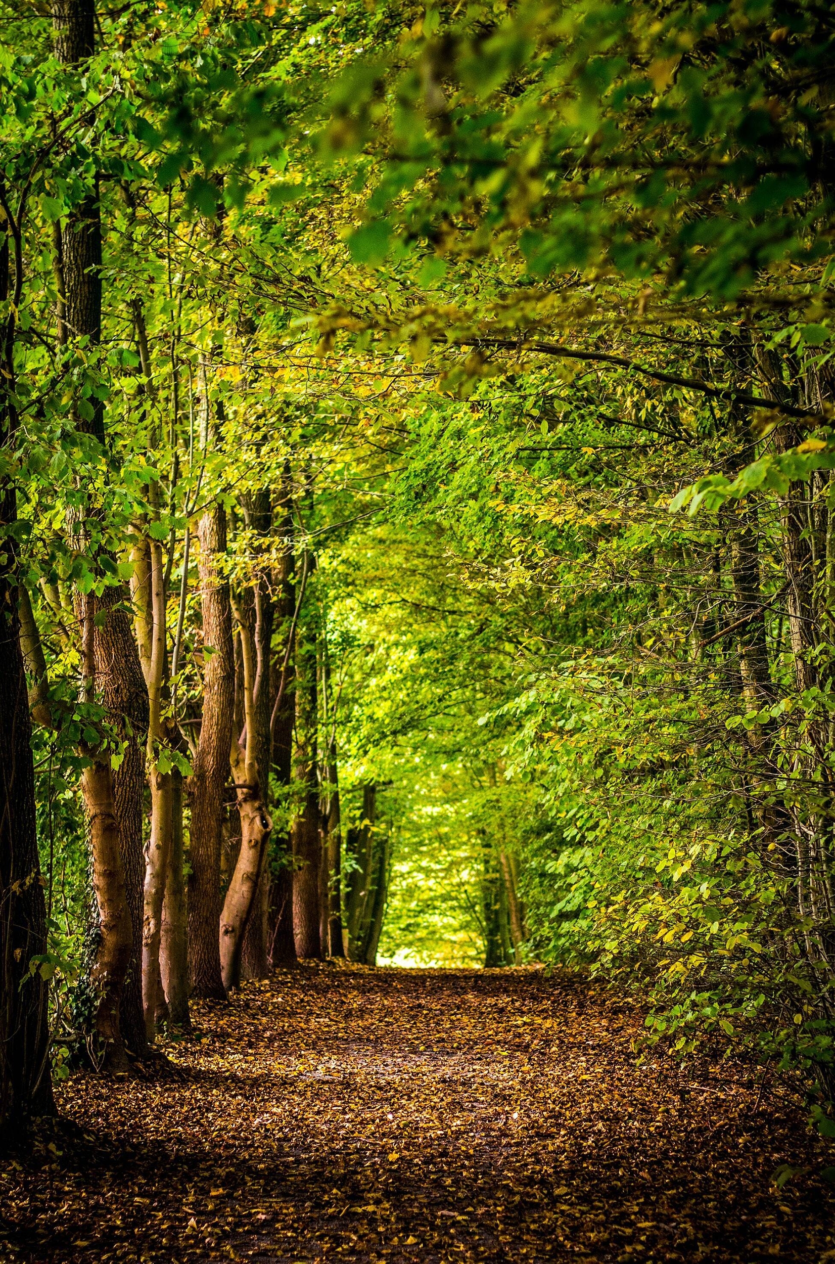 Immagine: david-bruyndonckx-F_hft1Wiyj8-unsplash