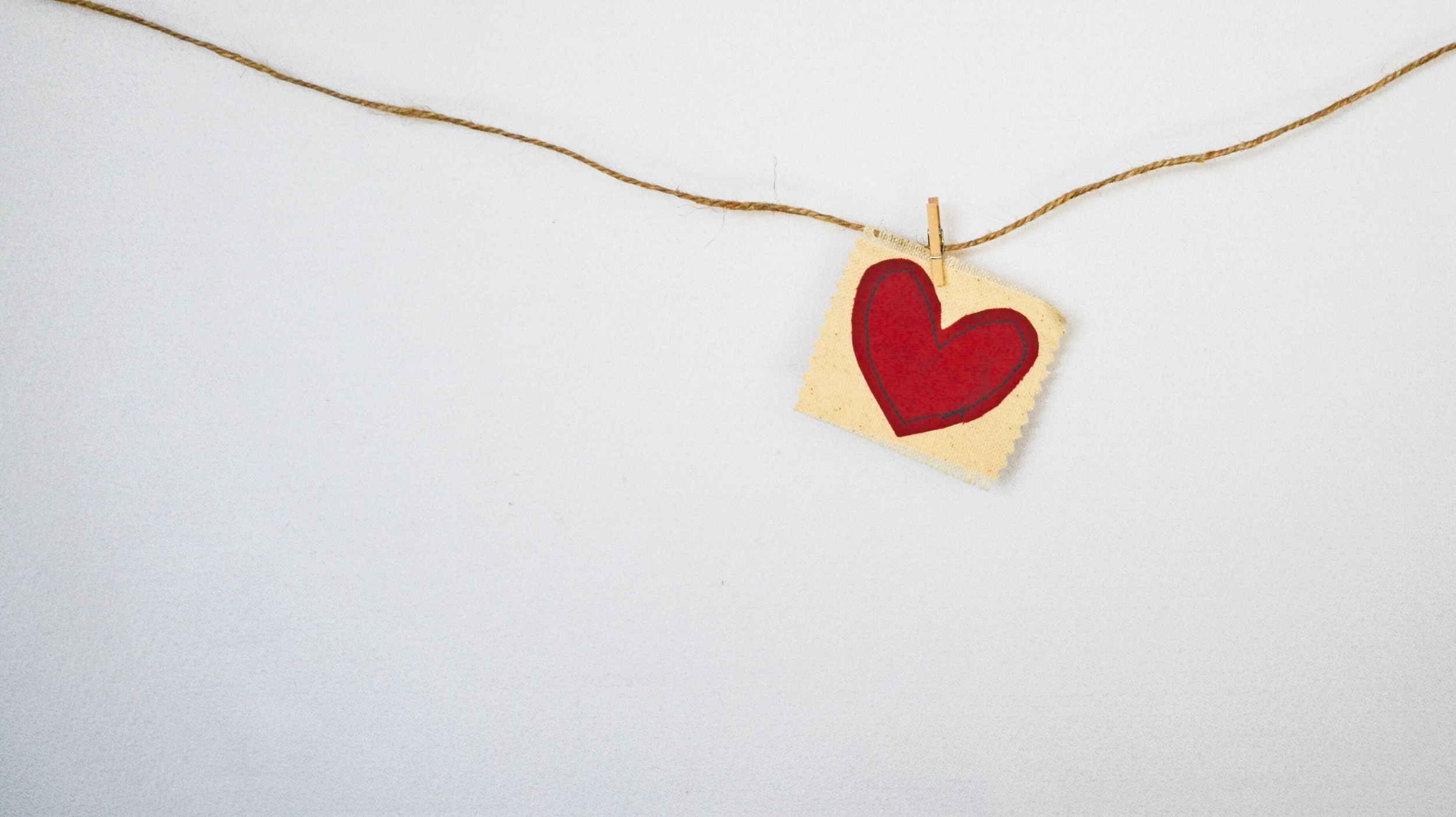 Immagine: debby-hudson-jcc8sxK2Adw-unsplash