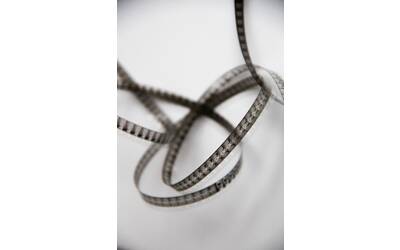 Immagine: denise-jans-unsplash