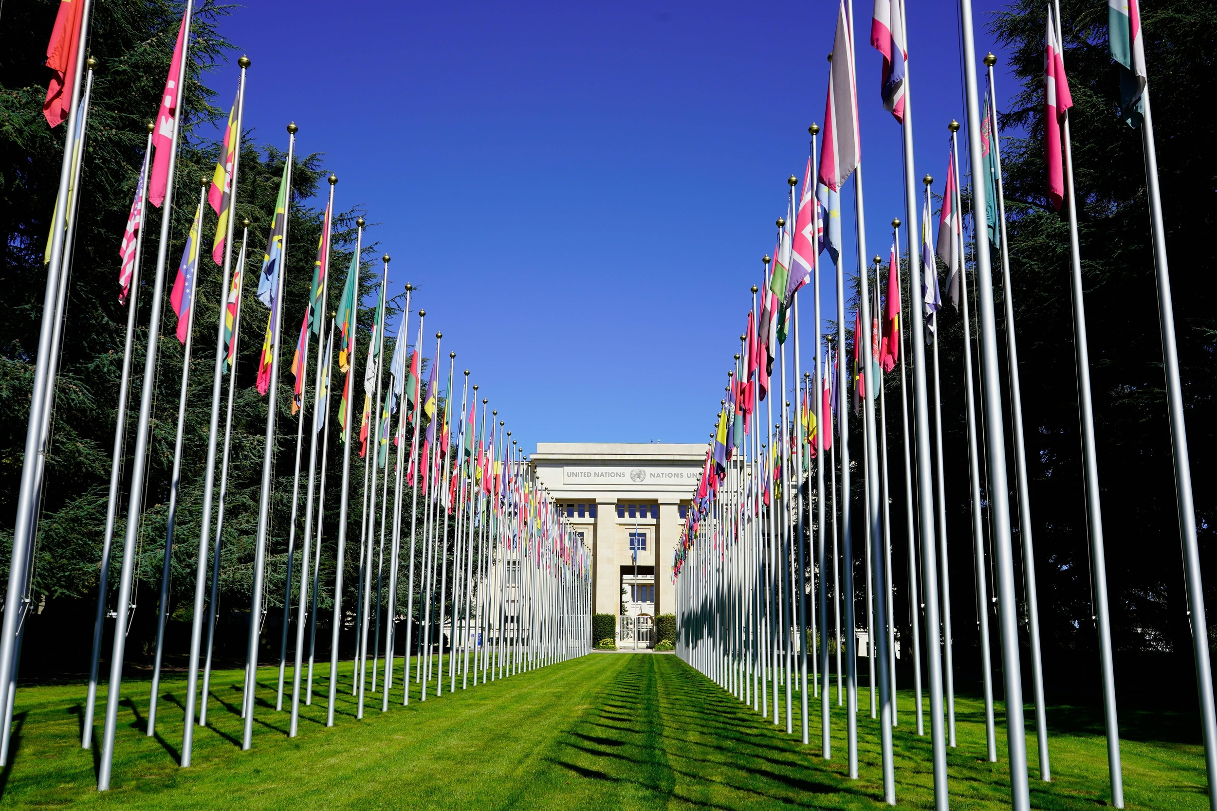 Immagine: diplomacy