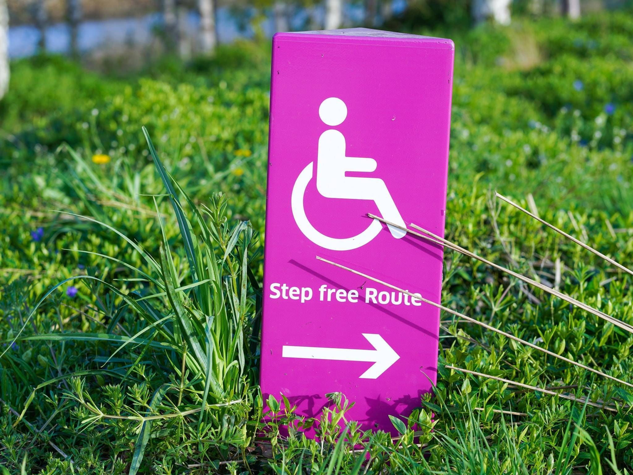 Immagine: disabilities