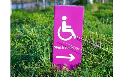Immagine: disabilities