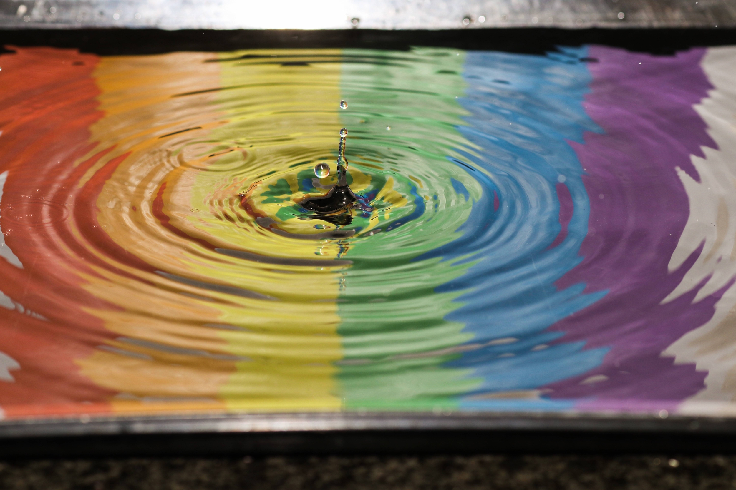 Immagine: Diversità e equità