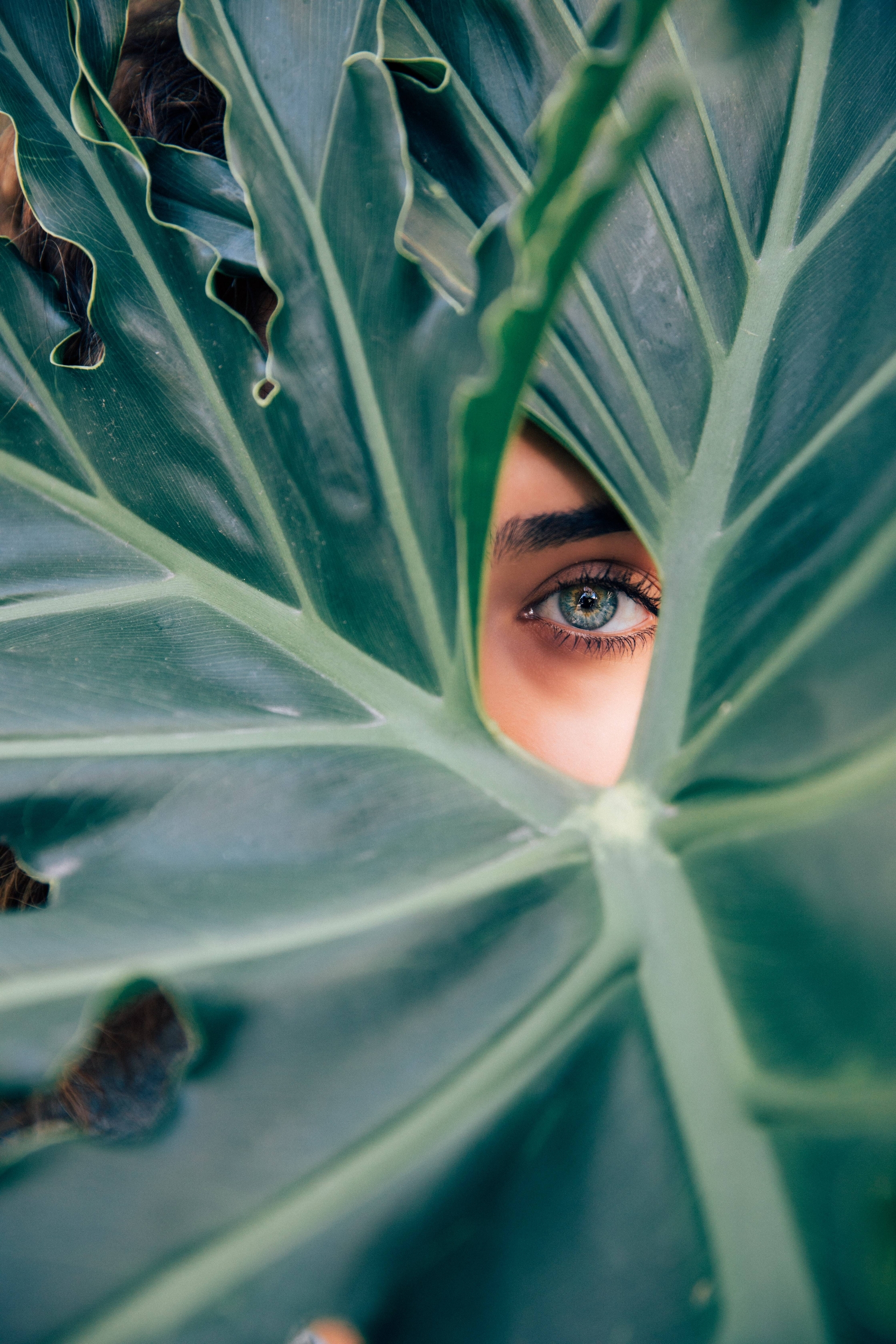Immagine: drew-dizzy-graham-cTKGZJTMJQU-unsplash