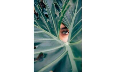 Immagine: drew-dizzy-graham-cTKGZJTMJQU-unsplash