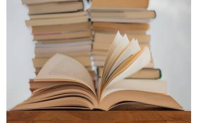 Immagine: elisa-calvet-b-S3nUOqDmUvc-unsplash.jpg