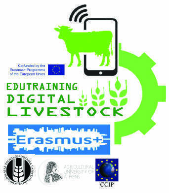 Edutraining digital