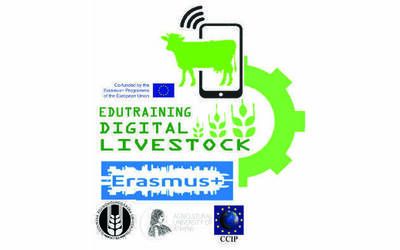 Immagine: Erasmus plus